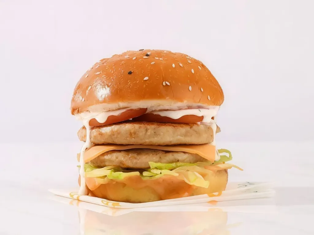 [FG570] Double Arabic Burger